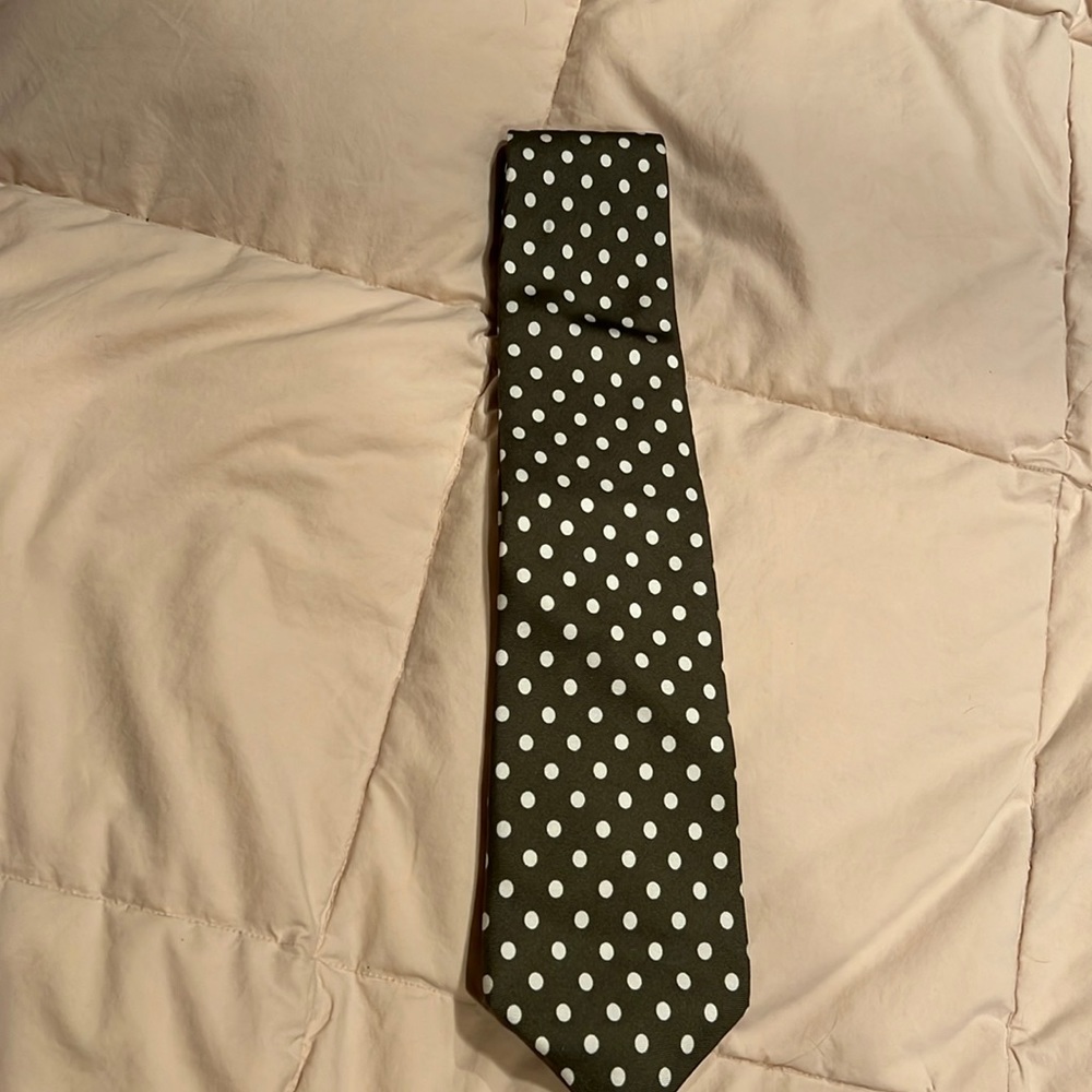 Gorgeous 100% Silk Tie